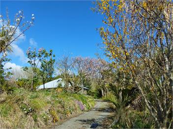 Butterfly Farm -