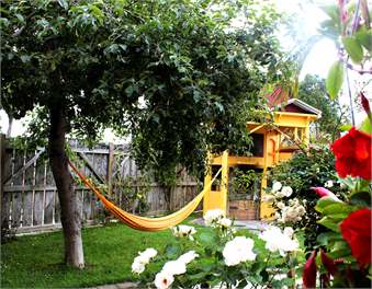 The CHALET & Teacastle Cottage - Havelock North 4294