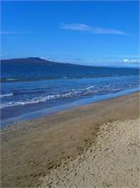 ON THE BEACH MILFORD - Auckland