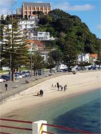 OB Retreat - 6 bedrooms, Ideal for families, friends & work groups. Private & quiet. - Wellington