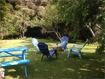 Waiomu Escape: Kings Birthday special - Thames