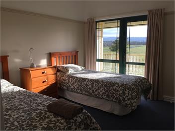 Copper Beech Vineyard - Blenheim