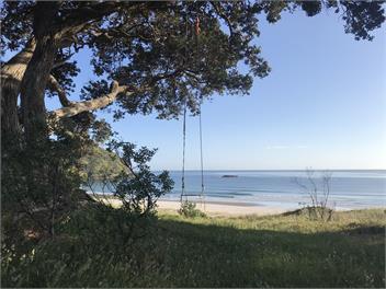 The Pohutukawa Bach, Medland's Beach - Great Barrier Island