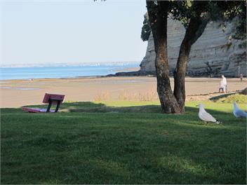 Village Apartment - Cafes - Beach & Pool!! -North Shore - Auckland