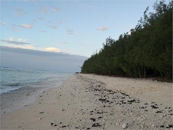 Jacqui's Beach Retreat - Anja Apartment - Rarotonga