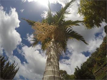 Anac Cottage - Whangarei