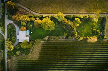 Luxury Vineyard Holiday House - Blenheim
