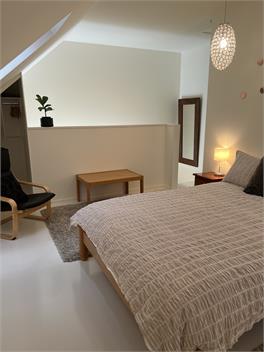 Beech Hill - Pet, Child & ECO Friendly - Nelson