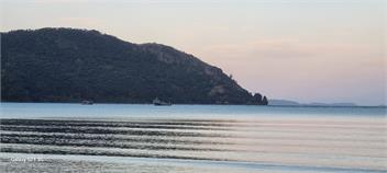 Beachfront Paradise at "Pukeko Retreat" - Kennedy Bay, Coromandel