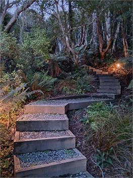 Five Ferns - STEWART ISLAND