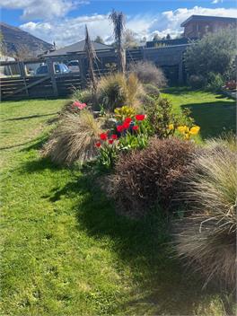 Little Maude Snug - Lake Hawea