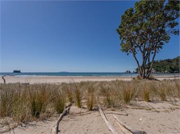 Beachfront Beauty (Bachcare) - Whangamata