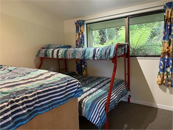 Punga Heights - Lake Kaniere