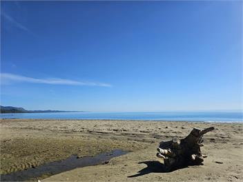 Beach Front Beauty -