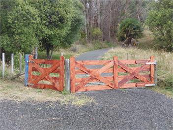 Butterfly Farm -