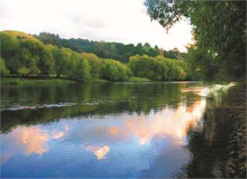 Riverlea CottageTaumarunui - Taumarunui