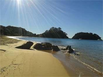 Whare Tapere - motueka