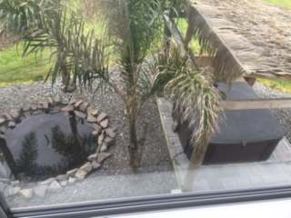 Papamoa Palm Paradise Holiday home - Tauranga