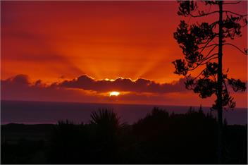 Seaviews, Cedar hot tub, Kayaking, Native Virgin bush - WHANGAREI