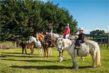 Te Horo Farmstay - Otaki