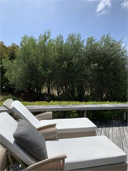 Holiday Home in Matarangi, Coromandel - Matarangi