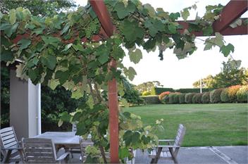 The Borough - Martinborough