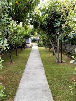 Spacious Group‑Friendly Napier Home with Pool – Ideal for Teams & Families - Napier