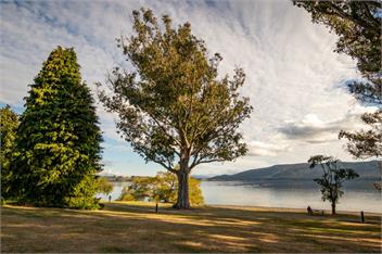 Hop, Skip and Jump to the Lake (Bachcare) - Te Anau