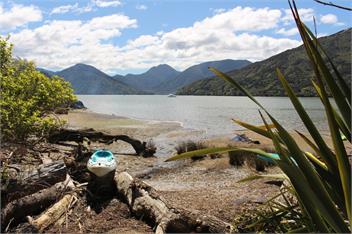 Mahakipawa Waterfront Hideaway (Bachcare) - Mahakipawa