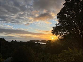 Five Ferns - STEWART ISLAND