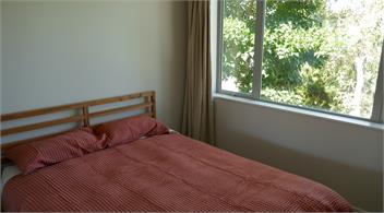 The Tree House - Paraparaumu