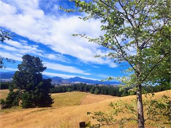 Best Views in Nelson and a Swimming Pool! - Nelson