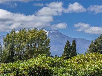Maungatapu Studio 1 (Bachcare) - Ohakune