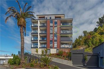 Havenview City Apartment - Nelson