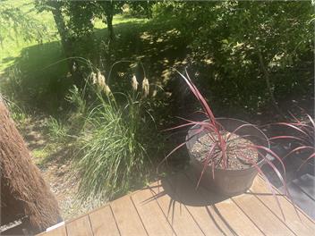 Apple Tree Cabin - Hanmer Springs