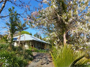 Butterfly Farm -