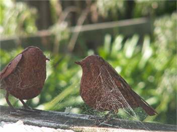 Akitio Retreat - Dannevirke