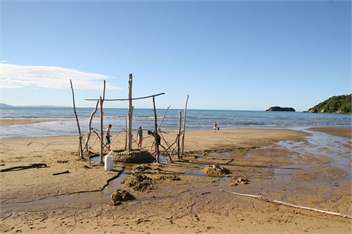 Beachfront Ligar Bay - Takaka