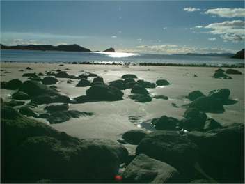 Leighton Lodge - Whitianga