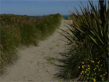 Oreti Beach House - Invercargill