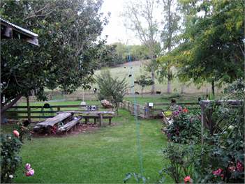 Miranda Valley Orchard Cottage  - Miranda, Kaiua, Coromandel, Thames