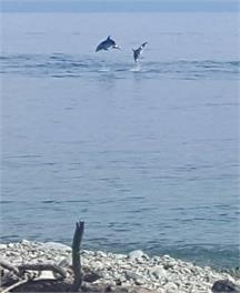 BOULDER BEACH WETREAT - Nelson 7071