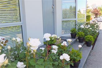 Strowan House 1 - Stylish Comfort - Christchurch
