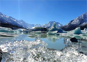 Manuka Magic - Twizel, Ben Ohau