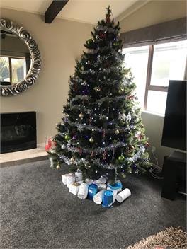 Large Executive Home Near the Beach - Wellington
