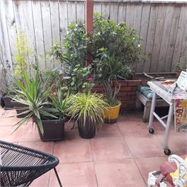 2A Creagh Street - Te Awa