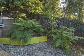 Haven View Cottage - Nelson 