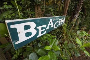Manly Beach delight! - Auckland