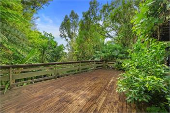 Treetop Sanctuary (Bachcare) - Auckland