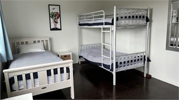 Contemporary 4 bedroom beachhouse - Omaha Beach